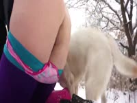 Outdoor dog sex in the snowy field